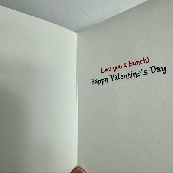 8 Avanti Greeting cards- baby penguin with pink roses
Holiday: Valentines Day - Picture 5 of 8